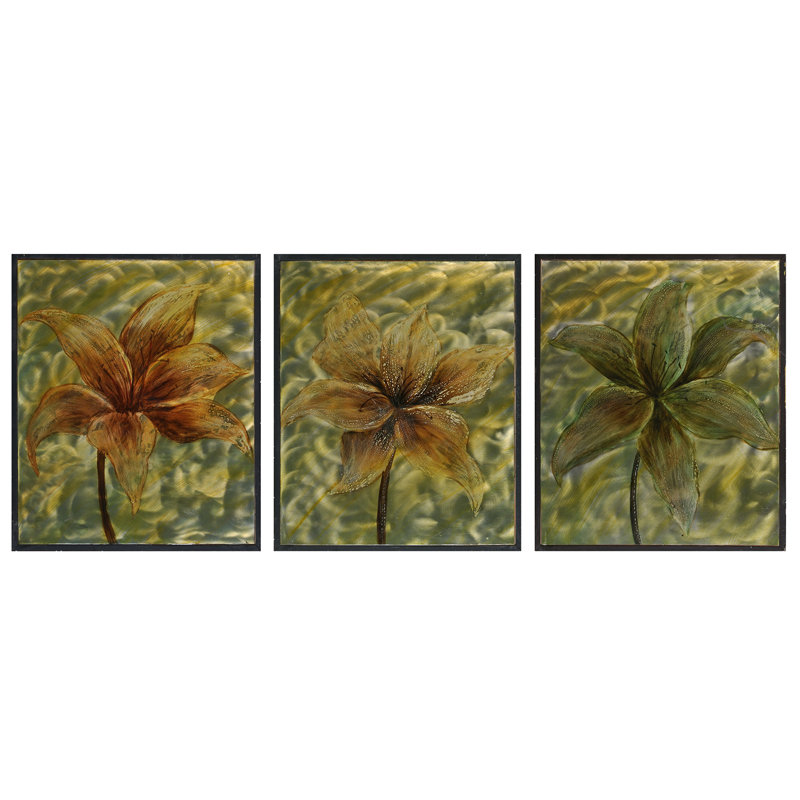 " Transparent 3 " 3 - Pieces
