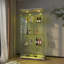 Vitrine moderne en verre avec lumières DEL-425454453