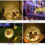 Lampe sur pied en verre Juntier