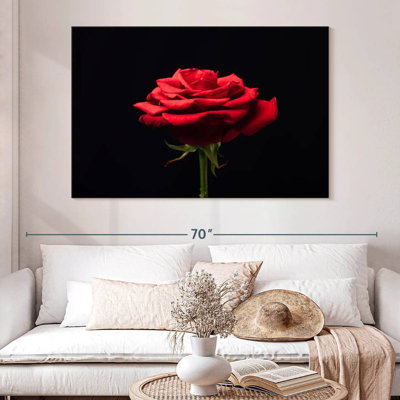Harnek Forlorn Red Rose