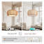 5 - Light Chandelier