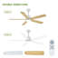 Ceiling Fan-1690346658-1690346661