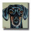 «Traditional Dachshund» par Carolee Vitaletti, art mural sur toile-1904008933