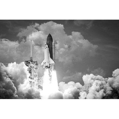 Ready to Launch BW by Wild Apple Portfolio