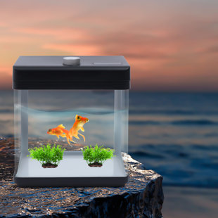 Mini Aquarium Betta, Kit De Démarrage Pour Petit Aquarium, Petit Bol À  Poissons Avec LED Et Système De Circulation Automatique