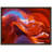 " Lower Antelope Canyon "-178913907