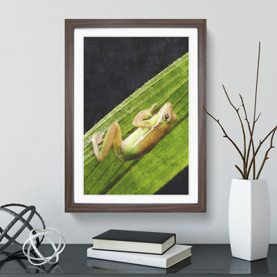 Frog Vol.1 - Framed Print