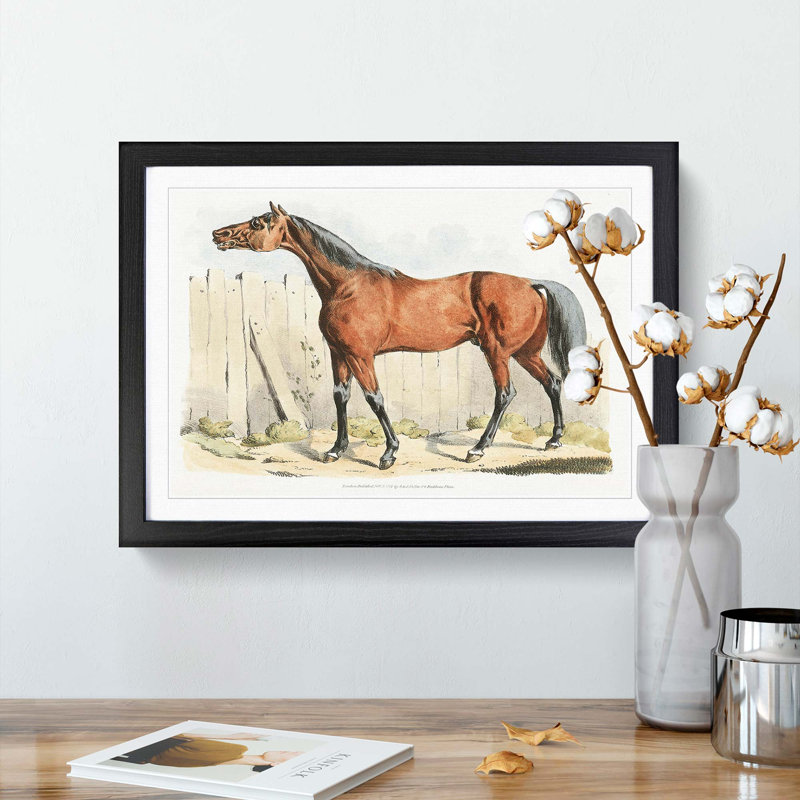 Dark-Brown Horse by Henry Alken - Picture Frame Painting Print, 36cm H x 48cm W x 2cm D, Black Framed