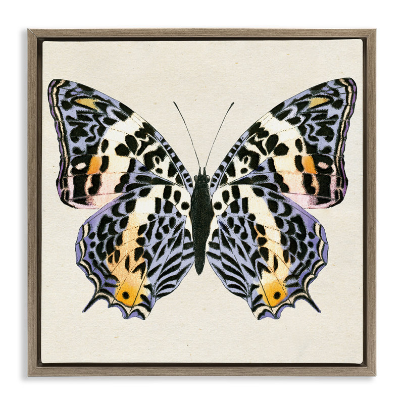  «Speckled Butterfly S croquis» par Susan Arnot, H 25 po x l 25 po, Cadre flottant orme Montalcino