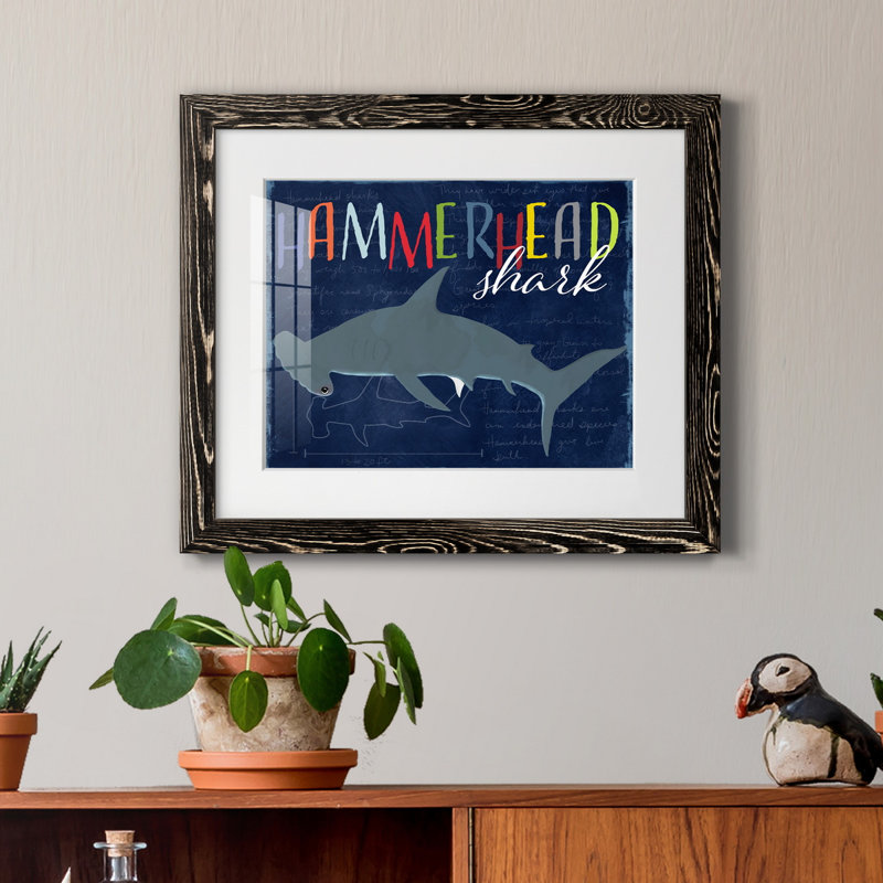 " Hammerhead Shark ", Black Framed Paper, 20" H x 17" W x 1.5" D