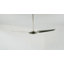 IC Air Downrod Ceiling Fan-46776488-46776485-46776483