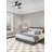 Timeless Cream Rug 5'0" x 7'11"