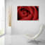«Red Rose» par Tom Quartermaine-1937692974