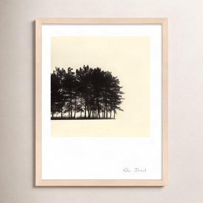 Garden Sign "Copse" Print by Peter Dušek