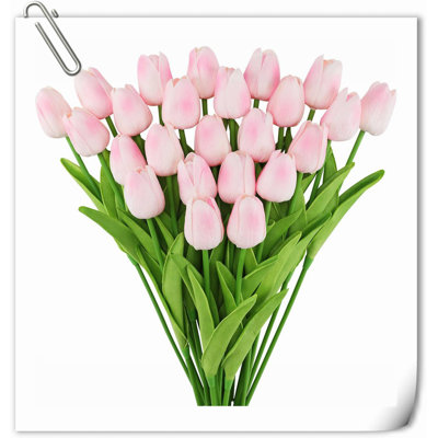 Tulip Arrangement
