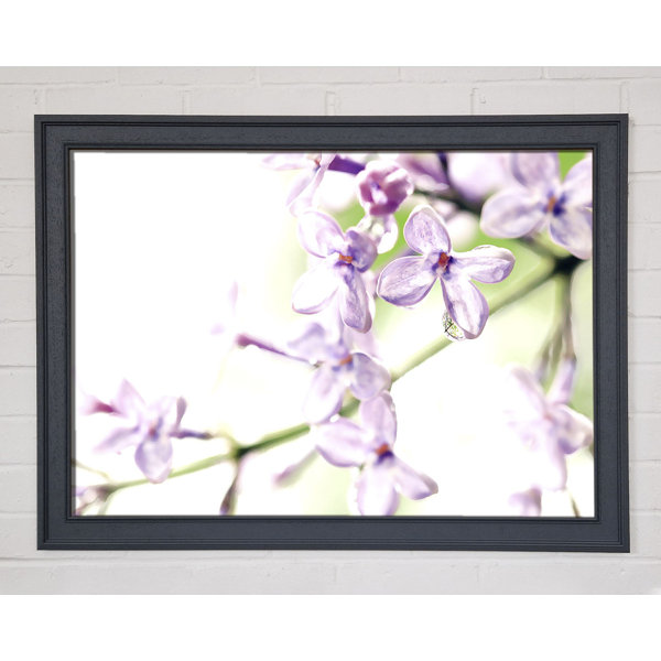 Ebern Designs Single Picture Frame Art Prints | Wayfair.co.uk