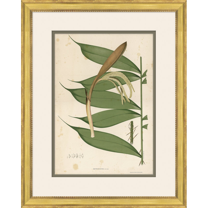 «Palm Leaves 3», peinture sur cadre