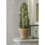 Rouleau de papier peint Princeton-234442865