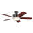 Whyalla 54'' Ceiling Fan with LED Lights-629466656