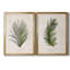 Palm Botanical I - ensemble de 2 impressions-1280204969-1280204971-1211584037