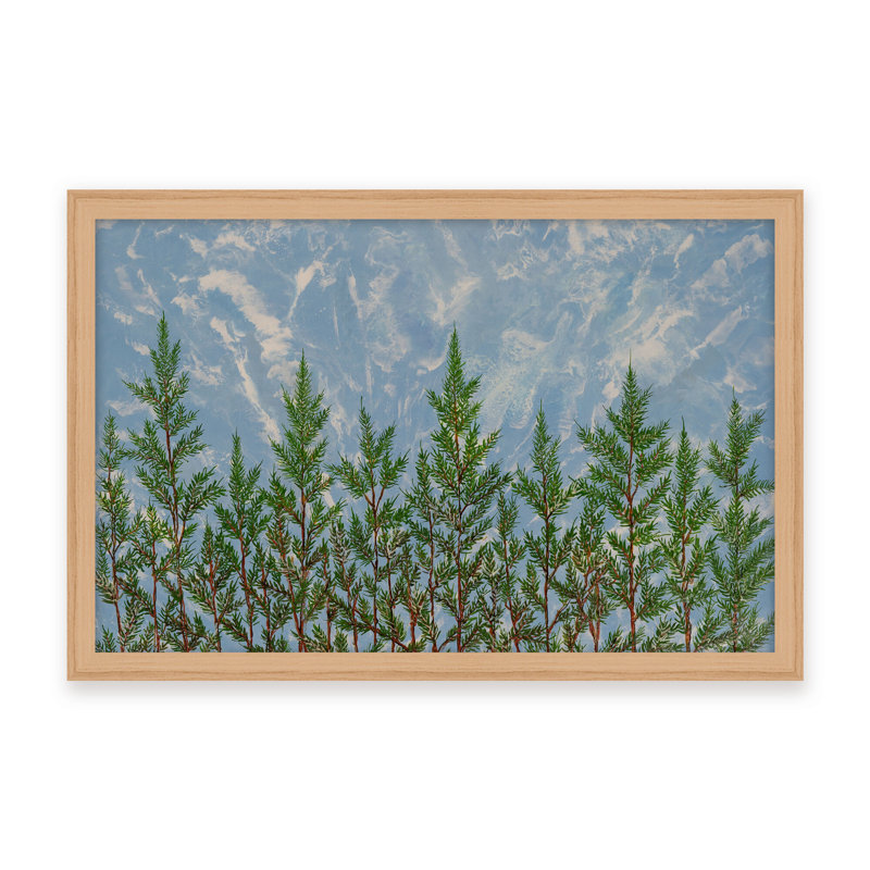 Nature Inspired "Reaching for the Sky" Canvas Wall Art By , 12" H x 16" W, Framed Matted Print, Brown