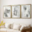 Objets mystiques I - Impression encadrée sur mesure de qualité supérieure - 3 pièces-996448251-996448248