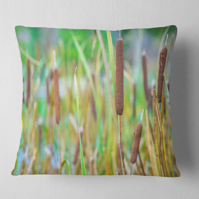 Housse et insert de coussin Schafer