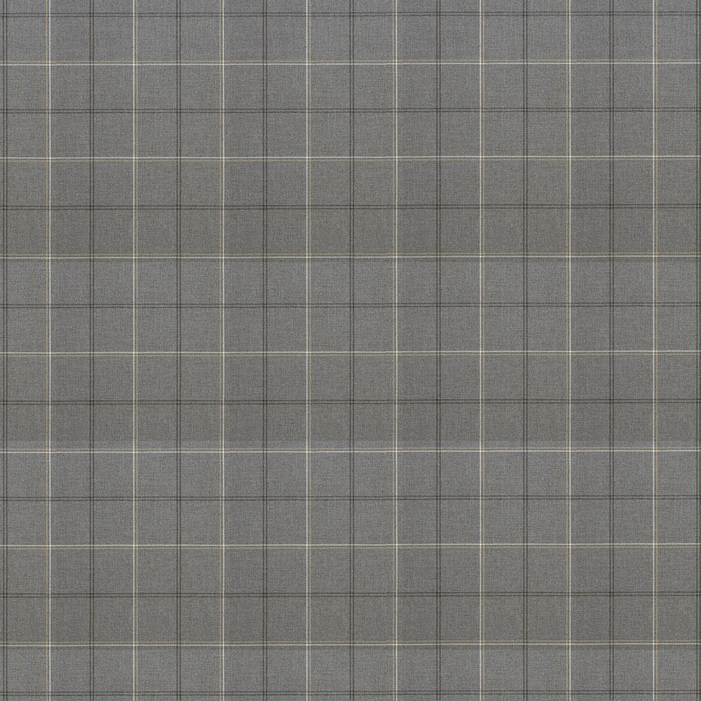 Sunbrella Furniture Paradigm Fabric ABBEYSHEA