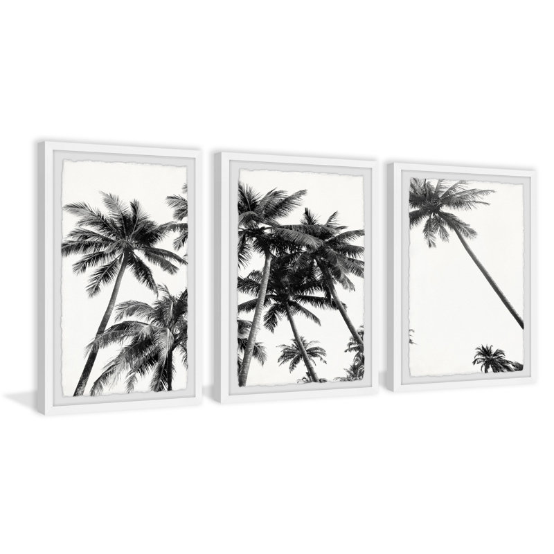 Coco Palm Trees par Marmont Hill - ensemble de 3 photos encadrées, H 18 po x l 12 po x P 1,5 po