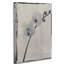 «Silk Botanicals VI», reproduction d'art sur toile tendue-1162233872