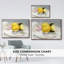 «Lemons on a Plate II», reproduction sur toile flottante-94355326-94355325