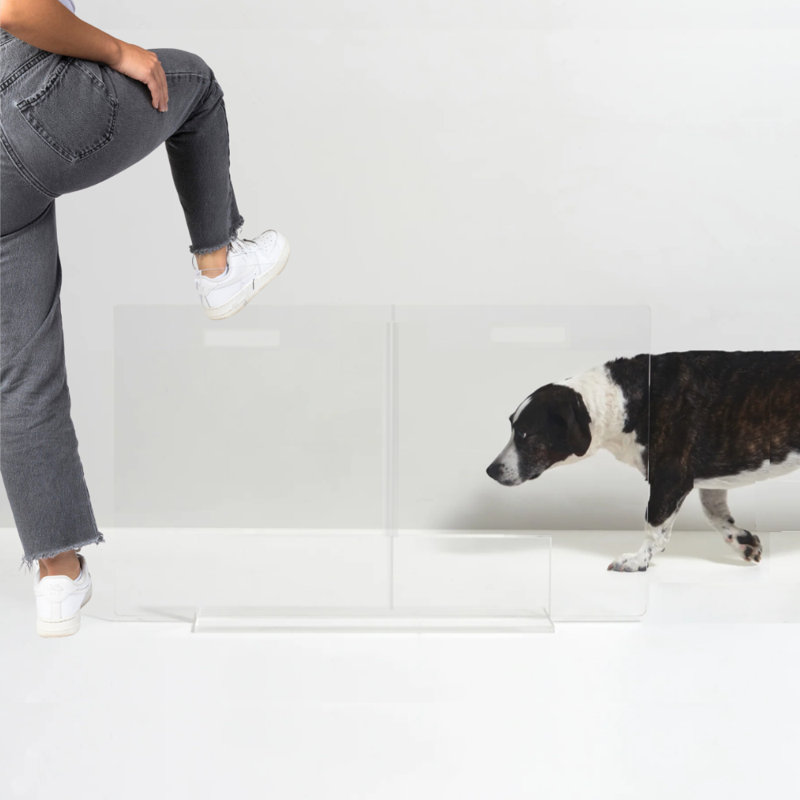 Low Clear Pet Gate Panel, 24” H x 36" W