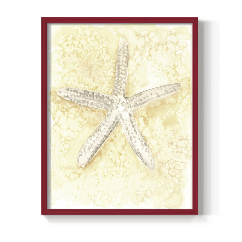 Salty Seashell I, reproduction encadrée - bois massif, H 15 po x l 12 po, Rouge