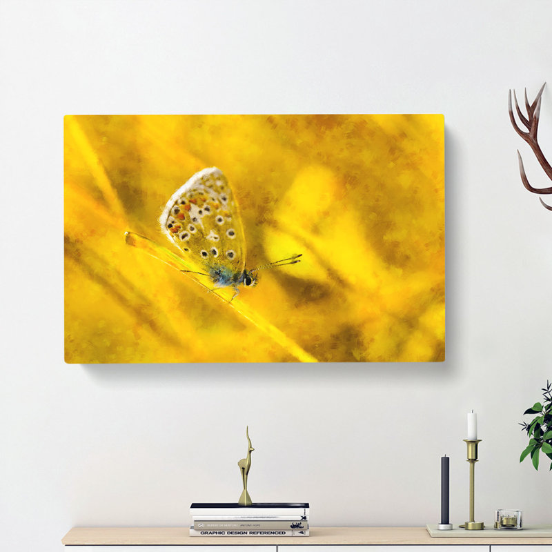 Yellow Butterfly - Wrapped Canvas, 60cm H x 91cm W x 3cm D