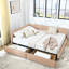 Grand lit confortable, revêtement en velours rose, construction avec rangement pour la chambre à coucher et le salon, structure en bois d'eucalyptus