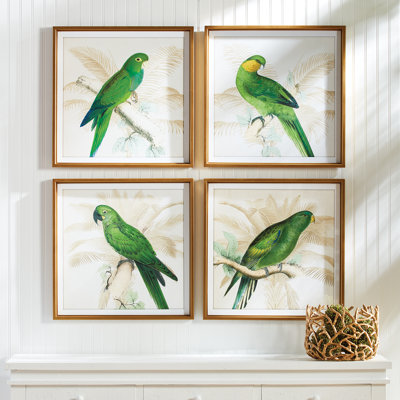 «Saltillo Green Parrots Study», ensemble de 4 reproductions de cadres photo
