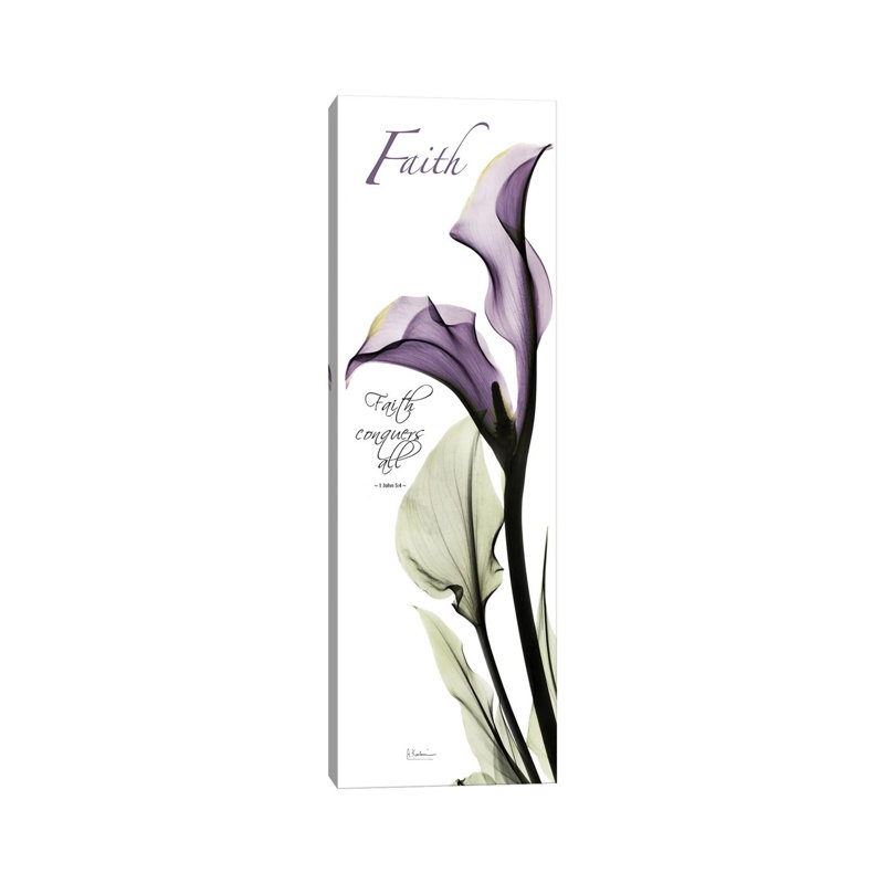 Calla Lily Faith by Albert Koetsier - Wrapped Canvas Panoramic Painting, 30.48 cm H x 91.44 cm W x 3.175 cm D