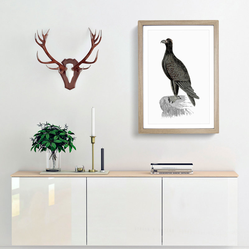 Mountain Eagle Illustration - Framed Print, 48cm H x 36cm W x 2cm D, Oak Framed