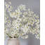 Dancing Oncidium Orchid 46.5"