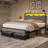 Tryston Queen Bed Frame With Led Lights & 2 Storage Drawers, Gray-1925215924-1879529356