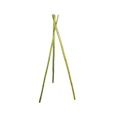 Ensemble de 3 poteaux en bambou