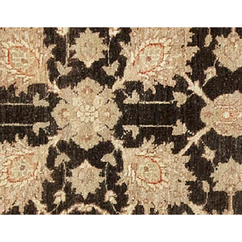 Wool Oriental Area Rug in Black/Cream