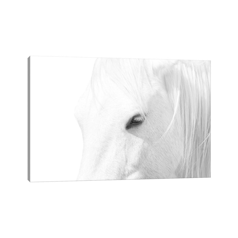 « Cheval blanc » par Marco Carmassi-impression d’art graphique, Pas de tapis, Toile tendue, H 8 po x l 12 po x P 0,75 po