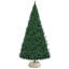 Water Hyacinth Tree Collar