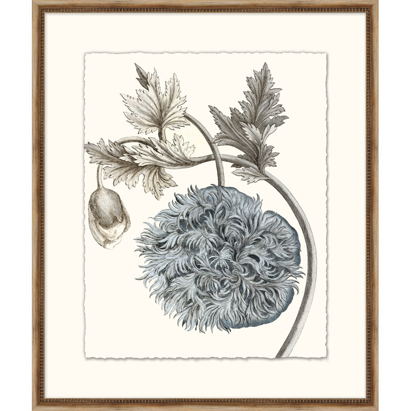 Azure Botanical 5 Print