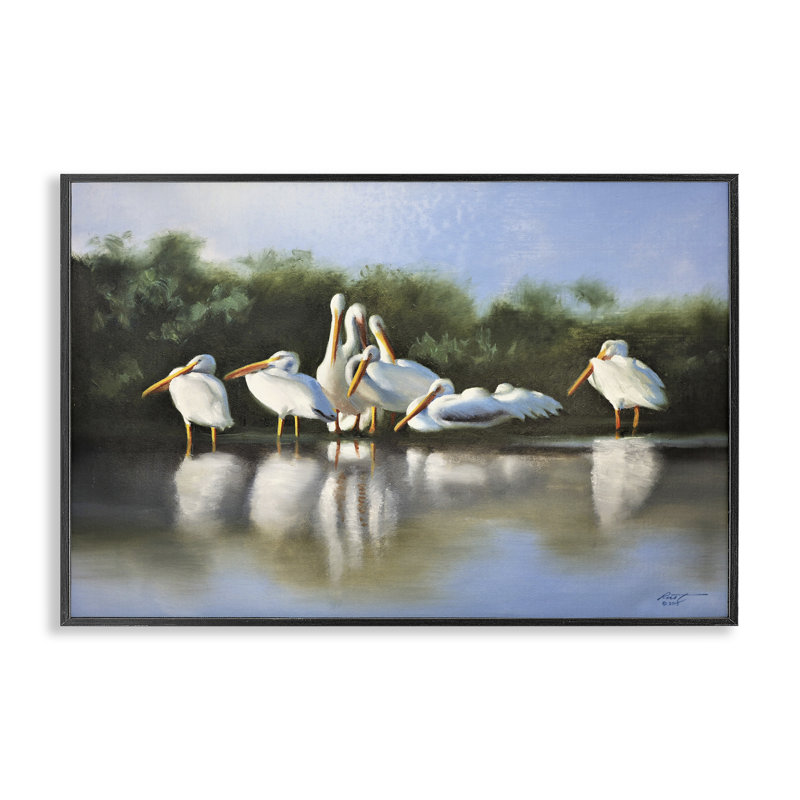 Pélicans blancs, estampe numérique par D. Rust, H 12 po x l 18 po, Giclée encadrée noir minuit