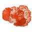 Flower Wall Décor-2034042648
