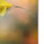 «Garden visiteur», impression sur toile tendue Vidur-22067536