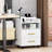 Gaisa 15.6 Wide 2 -Drawer File Cabinet