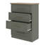Cleverdon Feya 4 Drawer Chest Of Drawer-98168167